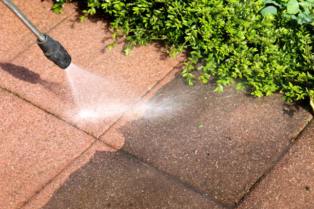 Best Pressure Washing Contractors  in South Pittsburg, TN